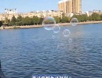 掌握这三种钩，野钓鲫鱼再也不怕空军！